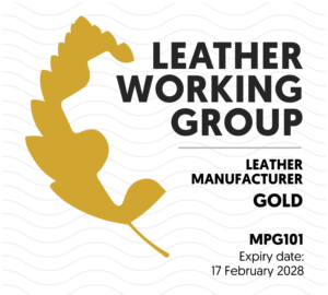 Logo MPG101_2026